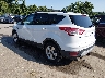 1FMCU9G96EU****** Salvamento y Reparables 2014 Ford Escape en Baltimore