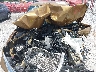 3GNKBCRS7KS****** Repairable 2019 Chevrolet Blazer in Pensacola