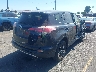 JTMWFREV2HJ****** Salvamento y Destrozados 2017 Toyota RAV4 en Estado de California