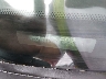 1FALP42X0TF****** Usados 1996 Ford Mustang en Lexington