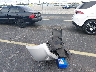 3N1AB6AP3CL****** Wrecked 2012 Nissan Sentra in Florida State