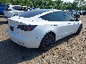 5YJ3E1EC5NF****** Salvamento y Destrozados 2022 Tesla Model 3 en Estado de Nueva Jersey