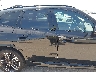 WBX73EF04P5****** Usados 2023 BMW X1 en Estado de Texas