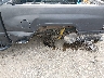 1B7HC16X81S****** Salvage and Repairable 2001 Dodge Ram 1500 in Texas State