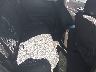 2GNALBEK9E6****** Destrozados 2014 Chevrolet Equinox en West Palm Beach