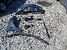 5YJ3E1EB9PF****** Wrecked 2023 Tesla Model 3 in Washington State
