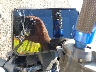 JYARM48EXSA****** Salvage 2025 Yamaha MT-07 in Rochester