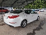 KNAGM4A71F5****** Salvage and Wrecked 2015 Kia Optima in Connecticut State
