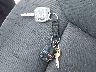 1FAHP3FNXAW****** Salvage 2010 Ford Focus in Texas State