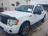 1FTFW1CFXEF****** Used and Repairable 2014 Ford F-150 in San Antonio South