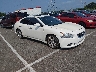 1N4AA5AP8CC****** Salvage and Wrecked 2012 Nissan Maxima in Memphis
