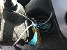 1N6AD0ER9KN****** Salvage 2019 Nissan Frontier in Texas State