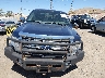 1FTFW1EF7DF****** Destrozados 2013 Ford F-150 en Estado de Nevada