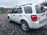 1FMCU03118K****** Salvamento y Reparables 2008 Ford Escape en Greenville