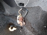 1J8HH48K77C****** Salvamento 2007 Jeep Commander en Estado de Luisiana