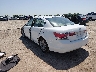 1HGCP2F8XBA****** Salvamento y Reparables 2011 Honda Accord en Dallas