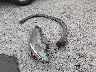 JM3KE4DY5G0****** Destrozados 2016 Mazda CX-5 en Estado de Carolina del Sur