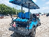 000000LTA00****** Salvamento y Destrozados 2022 ICON Electric Vehicles Golf Cart en Estado de Indiana
