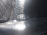 1N4AA51EX9C****** Salvamento 2009 Nissan Maxima en Estado de Mississippi