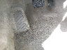 1FAHP2EW5CG****** Salvamento y Reparables 2012 Ford Taurus en Estado de Luisiana