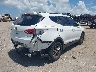 5XYZU3LB5DG****** Salvamento y Destrozados 2013 Hyundai Santa Fe en Estado de Florida