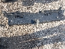 5XXGN4A74FG****** Destrozados 2015 Kia Optima en Estado de Florida