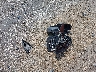 1FMHK7D86BG****** Destrozados 2011 Ford Explorer en Estado de Wisconsin