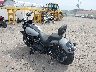 1HD1YWA1XSB****** Salvamento y Reparables 2025 Harley-Davidson Low Rider S en Rec Rides Online Exclusive