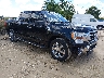 1FTEW1CPXPK****** Salvage and Wrecked 2023 Ford F-150 in Fort Myers