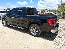 1FTEW1CPXPK****** Salvage and Repairable 2023 Ford F-150 in Fort Myers