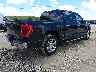 1FTEW1CPXPK****** Salvage and Wrecked 2023 Ford F-150 in Florida State