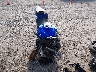 JS1GN7DA272****** Usados y Reparables 2007 Suzuki GSX-R600 en Estado de California