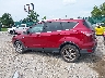 1FMCU0JX2EU****** Salvamento 2014 Ford Escape