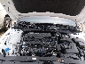 KMHLL4DG2TU****** Reparables 2026 Hyundai Elantra en Cincinnati