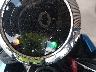 MLHJB0652S5****** Salvamento 2025 Honda DAX 125 en Rec Rides Online Exclusive