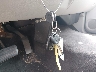 1GCEK29039Z****** Salvage 2009 Chevrolet Silverado 1500 in Mississippi State
