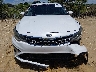 5XXGT4L39KG****** Used 2019 Kia Optima in Florida State