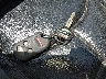 1HFSC47032A****** Salvamento 2002 Honda Gold Wing en Estado de Kentucky