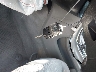 1G11B5SA1DU****** Salvamento 2013 Chevrolet Malibu en Estado de Texas