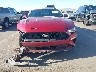 1FA6P8TH6K5****** Destrozados 2019 Ford Mustang en Estado de Arizona