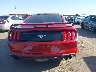 1FA6P8TH6K5****** Destrozados 2019 Ford Mustang