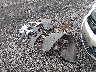 KNDJN2A29H7****** Salvage 2017 Kia Soul in South Carolina State