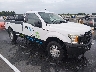 1FTMF1EB8KK****** Salvage and Wrecked 2019 Ford F-150 in Saint Louis