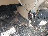 5J6RE4H58BL****** Salvamento 2011 Honda CR-V en Estado de Pennsylvania