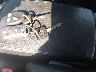 1N4AL11D05N****** Salvamento 2005 Nissan Altima en Estado de Kansas