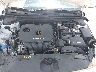 5NPD84LF2HH****** Repairable 2017 Hyundai Elantra in Tampa North