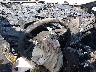 4S4GUHF65S3****** Salvage 2025 Subaru Crosstrek in Little Rock