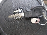 2B3LA43V89H****** Salvamento 2009 Dodge Charger en Estado de Ohio