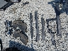 1GKS2EKL8PR****** Wrecked 2023 GMC Yukon in Washington State