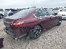 1HGCR2F35HA****** Salvage and Wrecked 2017 Honda Accord in Texas State
